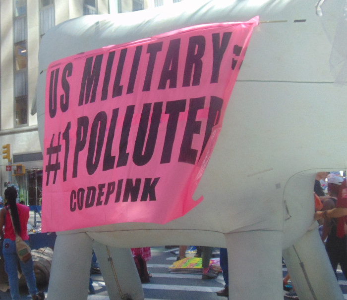 Code Pink's sign